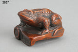 Toad on roof tile