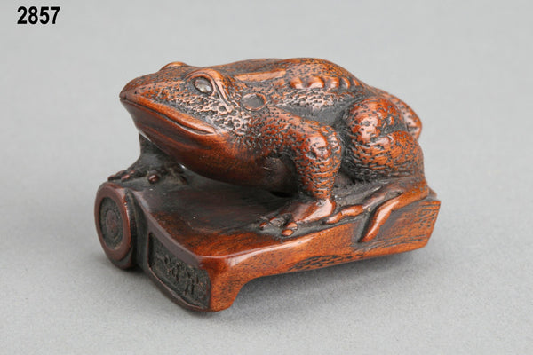 Toad on roof tile